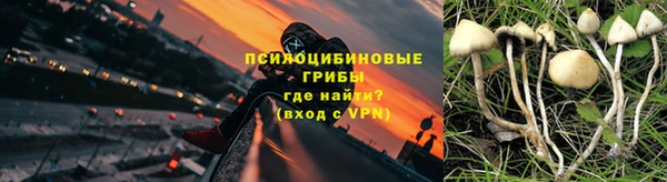 2c-b Ладушкин