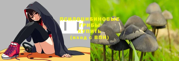 2c-b Ладушкин