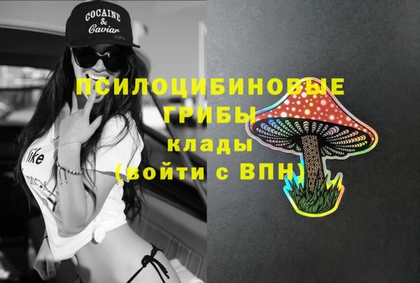 2c-b Ладушкин